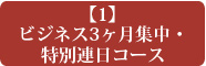 【１】ビジネス3ヶ月集中・特別連日コース